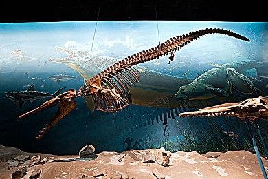 什么配置能参加《永劫无间》公测 网易云游戏无需配置给你极致体验