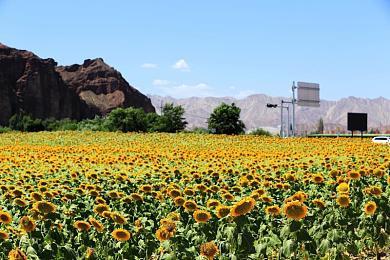 Xbox发布会：《女神异闻录》3款游戏登陆PC和Xbox