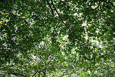 《战地2042》PS5容量曝光42GB 最早11月10日开始预载